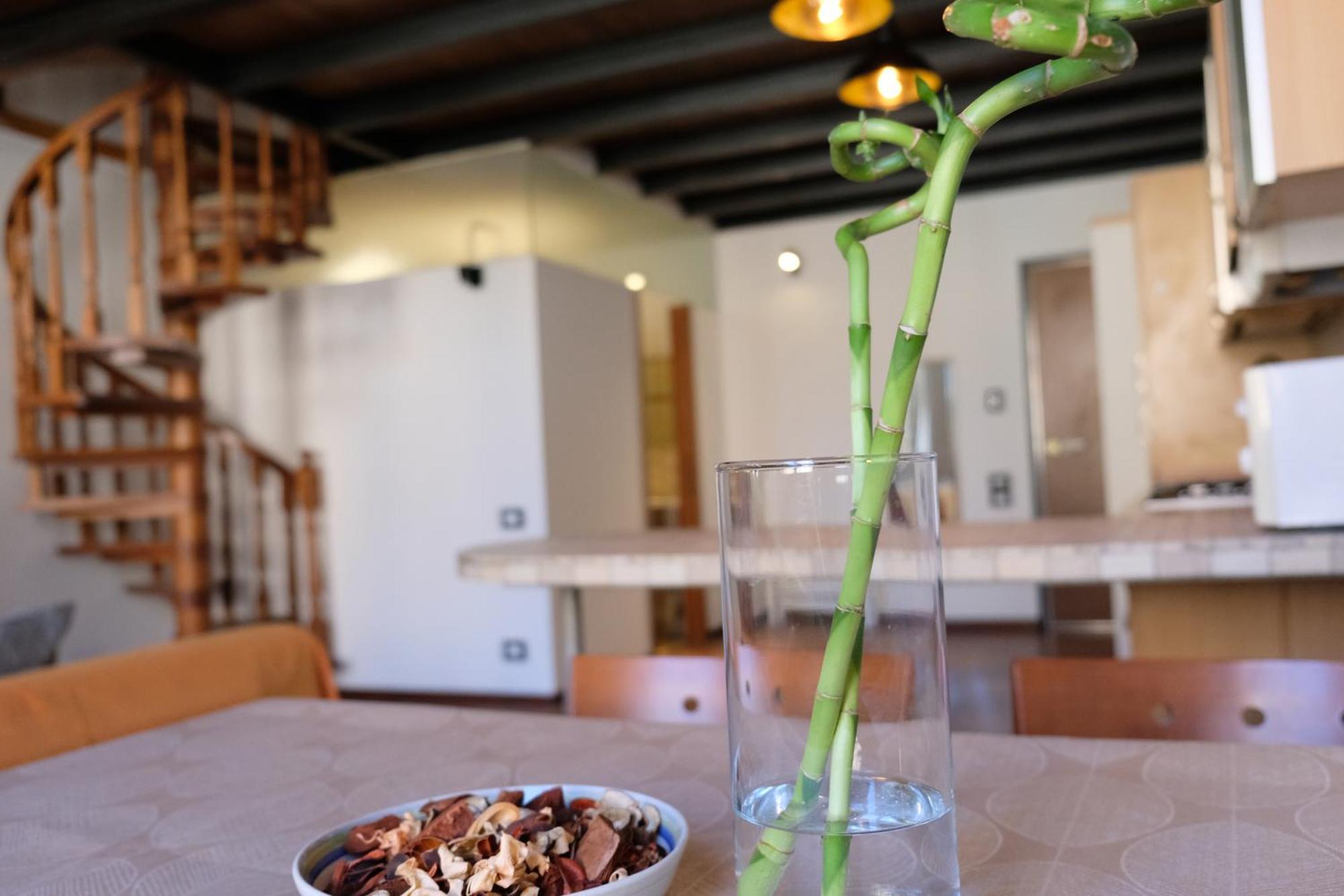 Il Loft Di Charme Di Ricc Daire Faenza Dış mekan fotoğraf
